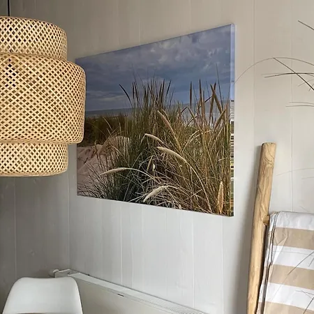 De Tiny Strandjutter 3*