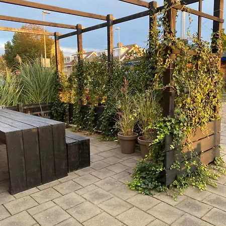 Bed & Breakfast De Tiny Strandjutter